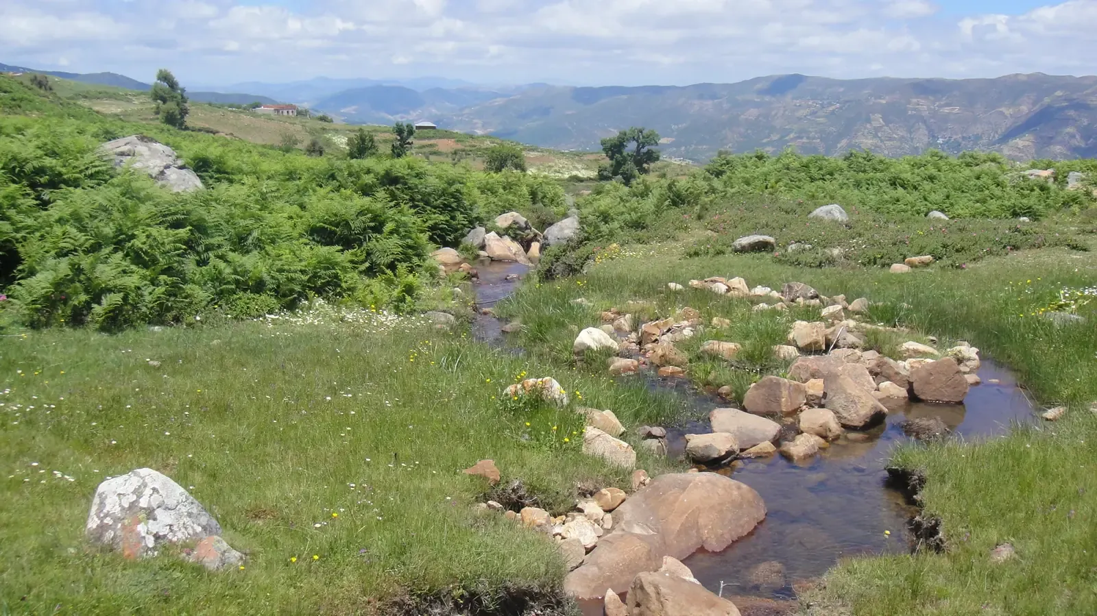 Panoramic view of the forests and mountains of Bouhachem park