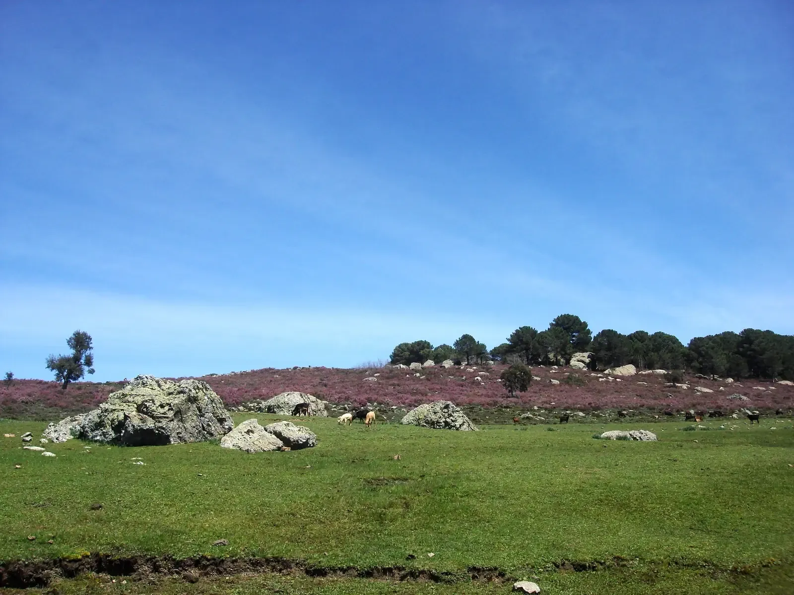 Colourful mountain landscape in Bouhachem park